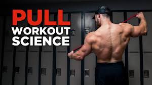 effective science based pull workout