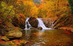 Wallpaper Waterfall, Autumn, Forest ...