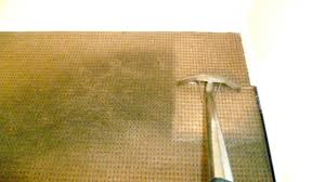 carpet cleaning wirral