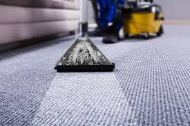 the carpet cleaning process how