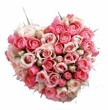 Not everybody is a flower person. Hearty Roses Love Flower Bunch At Rs 1599 Bunch à¤« à¤² à¤• à¤— à¤š à¤› à¤« à¤² à¤µà¤° à¤¬ à¤š Here Flower Delhi Id 20022528891