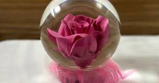 Forever Rose In Water Globe Rose Globe