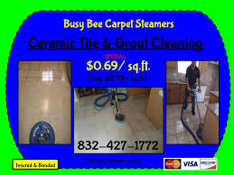 busy bee carpet steamers reviews