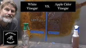 white vinegar vs apple cider vinegar