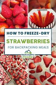 dehydrate freeze dry strawberries