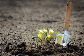 How To Dig The Soil In Your Garden