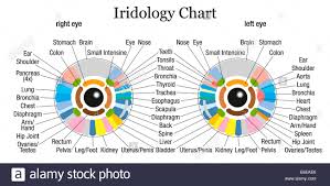 Iridology Or Iris Diagnostic Chart With Accurate Description