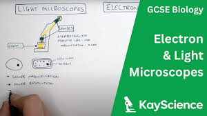 electron vs light microscopes explained