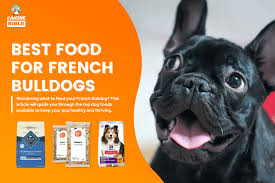 best dog food for french bulldogs for