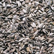 health benefits of sunflower seeds