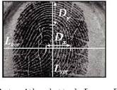 PDF] A new fingerprint ridges frequency determination method ...