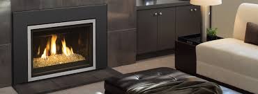 R H Peterson Fireplace Gas Insert Dvic 30i