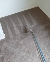 carpet cleaning cejainc