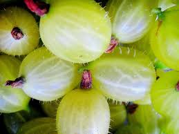 8 gooseberry benefits for hair skin