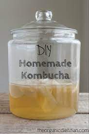 diy homemade kombucha probiotic tea