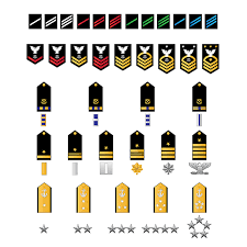 Honoring All Sailors The Evolution Of Navy Rate Insignia
