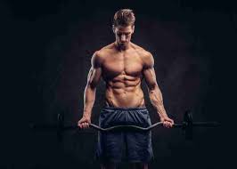 an aesthetic workout for ectomorphs