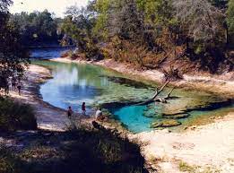 Econfina river state park fits the bill. Little River Springs Park In Suwannee County Florida