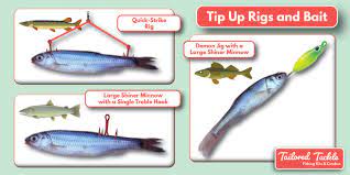 Ice Fishing With Tip Ups How To Spread