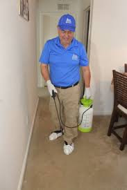 gallery all cleaning services in