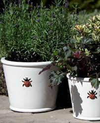 Woodlodge Ladybird Pots Newgate Nurseries