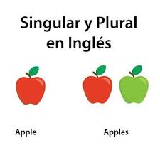 singular y plural en inglés