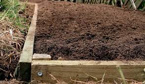Best Soil Mix For Raised Beds