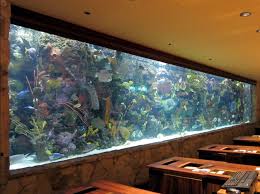 Fish Tank Or Aquarium Design Ideas