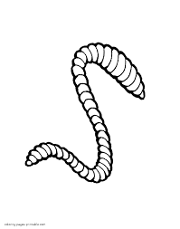 2) click on the coloring page image in the bottom half of the screen to make that frame active. Realistic Worm Coloring Sheet Coloring Pages Printable Com Coloring Library