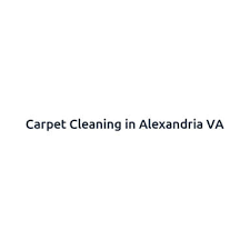 6 best alexandria carpet cleaners