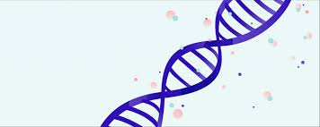 pgt preimplantation genetic testing