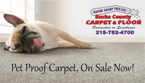 bucks county carpet floor penndel