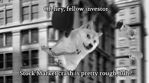 Starting a market garden 02. Le Stock Market Crash Of 1929 Has Arrived Dogelore