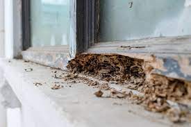 Does Home Insurance Cover Termites gambar png