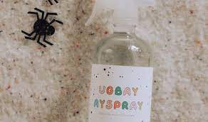 diy non toxic bug spider spray rae
