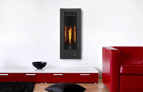 Napoleon Torch Vertical Direct Vent Gas