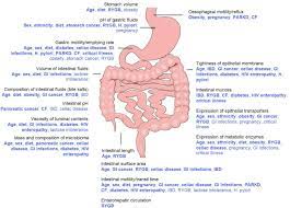 impact of gastrointestinal physiology