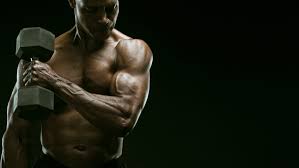 the best biceps and triceps workout for