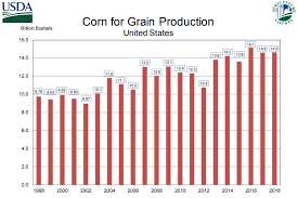 Usda Forecasts Record Nebraska Corn And Soybean Yield And