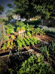 Growing Gardens And Businesses