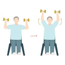 chair exercises for seniors visual