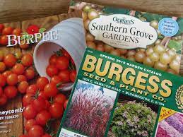 How To Get Free Seeds For Your Garden
