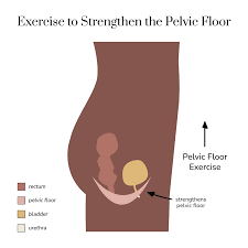 how to relax tight pelvic floor muscles