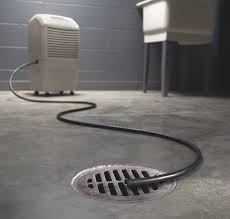 how to find the best basement dehumidifier