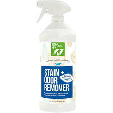 the best pet stain removers for every