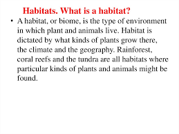 Only at word panda dictionary. Habitats What Is A Habitat Prezentaciya Onlajn