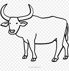 Year of the ox coloring page. Buffalo Coloring Page With Water Ultra Pages Ox Drawi Png Image With Transparent Background Toppng