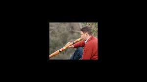 Whistle with a blade of grass ; How Do You Didgeridoo Science Aaas