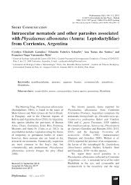 Maybe you would like to learn more about one of these? Pdf Intraocular Nematode And Other Parasites Associated With Physalaemus Albonotatus Anura Leptodactylidae From Corrientes Argentina