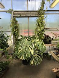 gardens and boyert s greenhouse farm